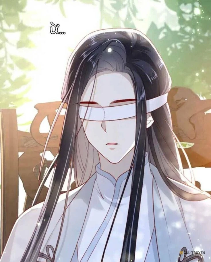 Đọc truyện Lão Đại Xuyên Không Gả Cho Phu Quân Mù tại cuutruyen